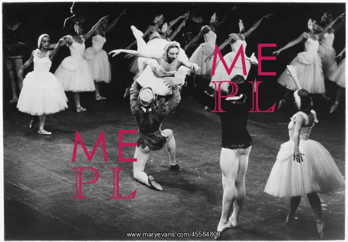 : Swan Lake - Ballet - Dance : Swan Lake - Ballet - Dance