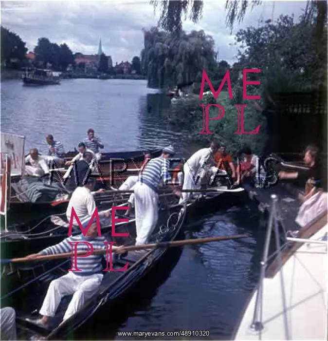 : SWAN-UPPERS ON THAMES : SWAN-UPPERS ON THAMES