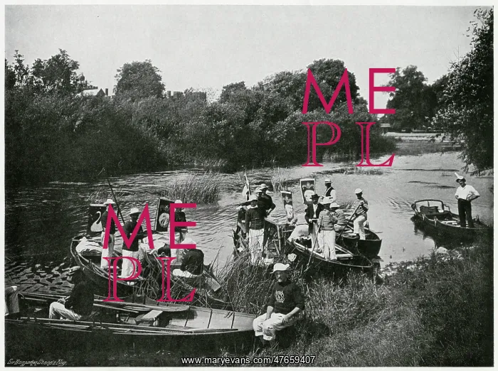 : Swan Upping on the Thames 1900 : Swan Upping on the Thames 1900