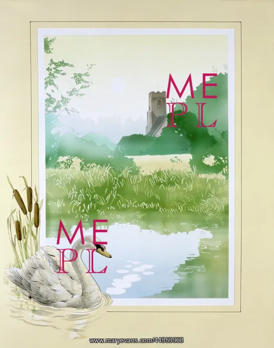 : Swan and a village pond : Swan and a village pond
