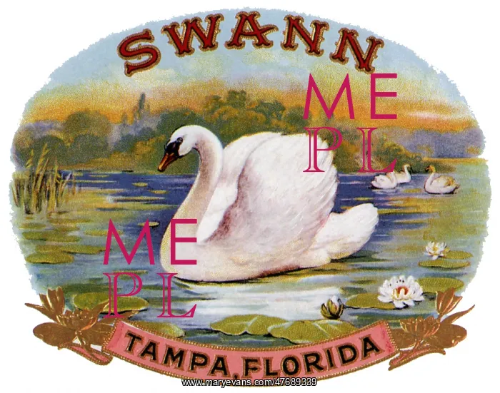  : Swann