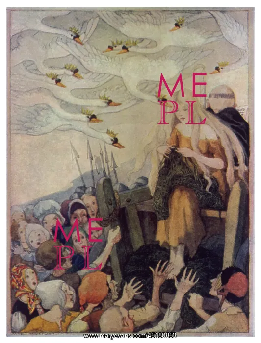 : THE SIX SWANS : THE SIX SWANS