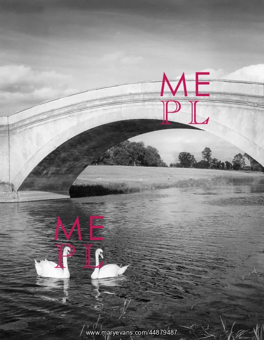 : SWANS & BRIDGE : SWANS & BRIDGE