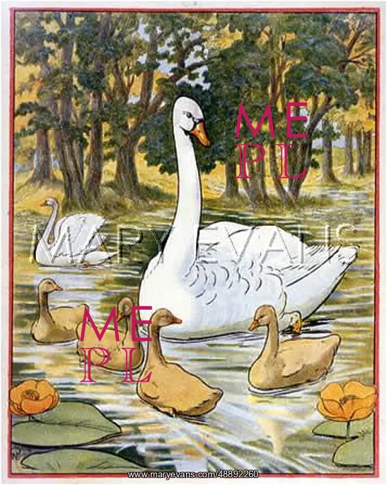 : SWANS & CYGNET : SWANS & CYGNET