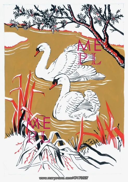  : Two Swans on a lake