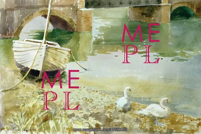 : Swans by a Quiet River : Swans by a Quiet River