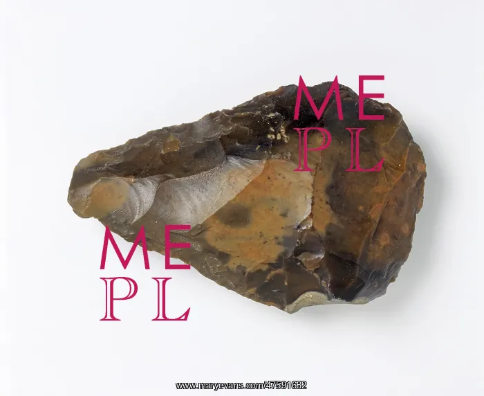 : A Swanscombe Hand Axe : A Swanscombe Hand Axe