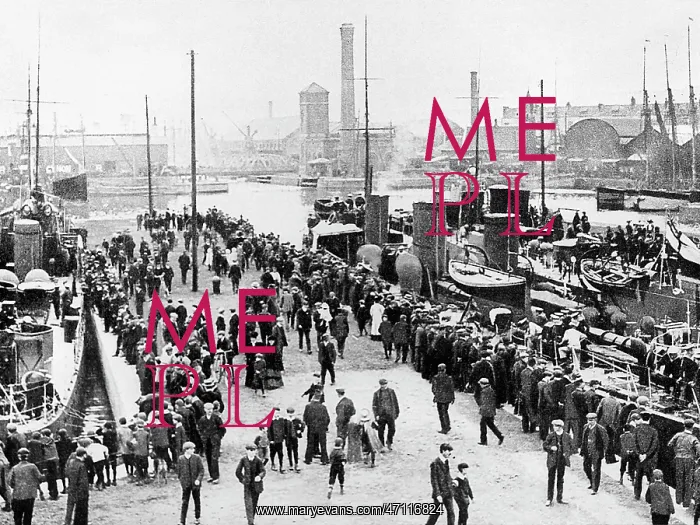  : Swansea Docks early 1900s