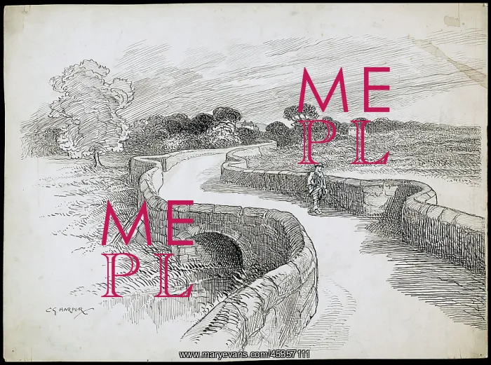 : Swarkestone Bridge : Swarkestone Bridge