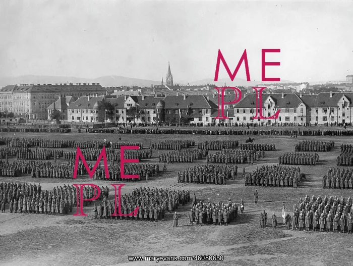 : Swearing-in of soldiers of the Austrian : Swearing-in of soldiers of the Austrian