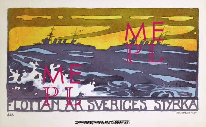: The Swedish Fleet : The Swedish Fleet
