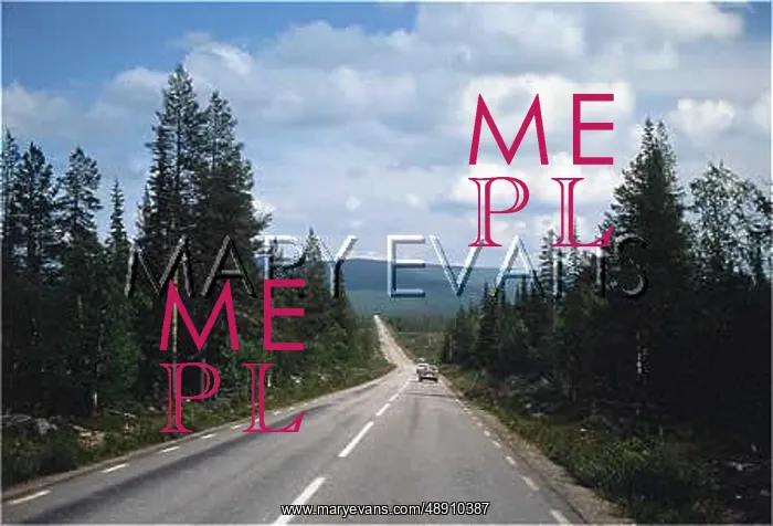 : SWEDISH ROAD / LAPPLAND : SWEDISH ROAD / LAPPLAND