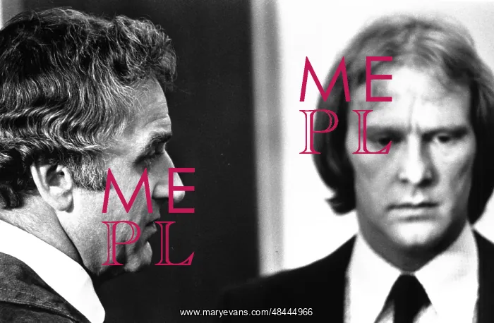 : The Sweeney : The Sweeney