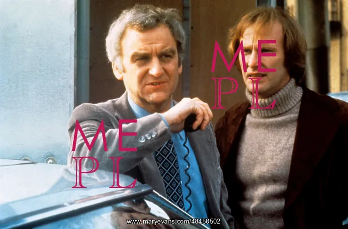 : The Sweeney : The Sweeney