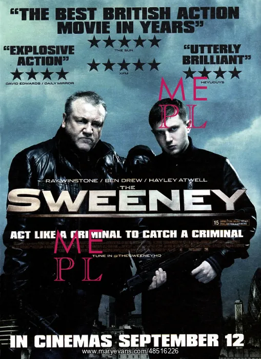 : The Sweeney : The Sweeney