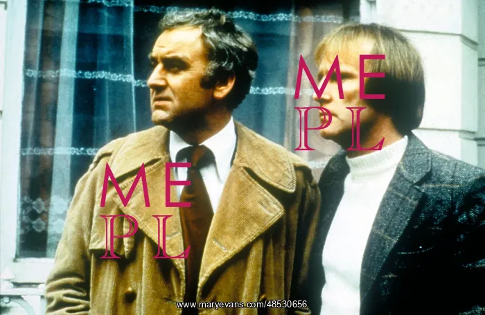 : The Sweeney : The Sweeney