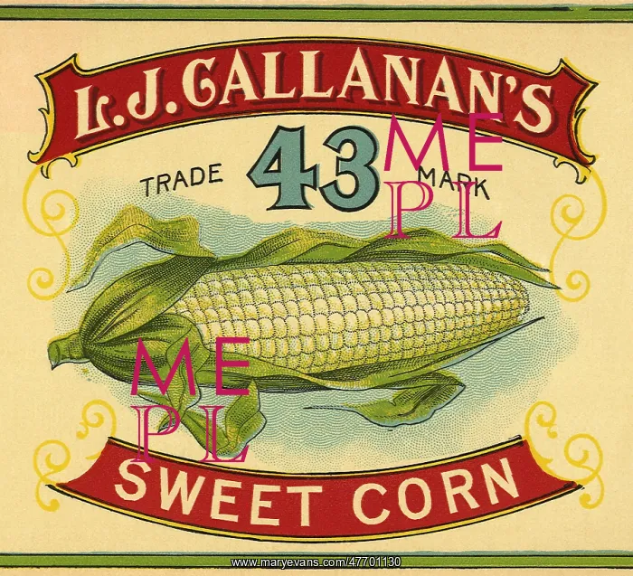  : Sweet Corn Label