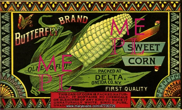  : Sweet Corn Veg Label