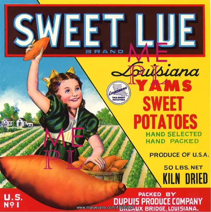  : Sweet Lue Yams