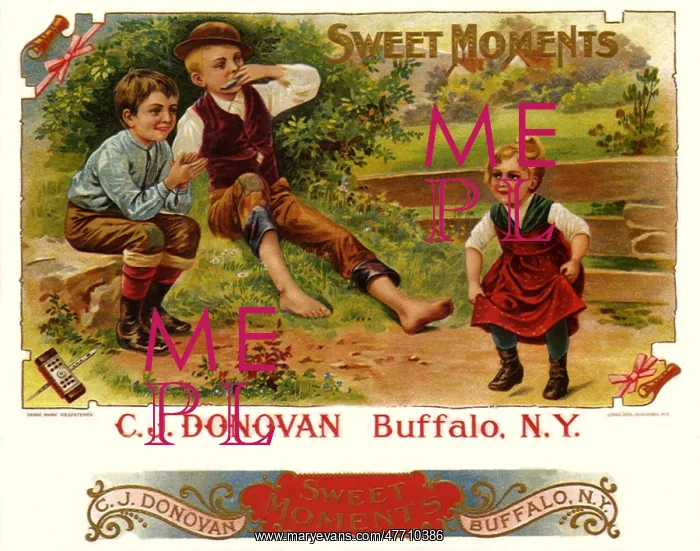 : Sweet Moments : Sweet Moments