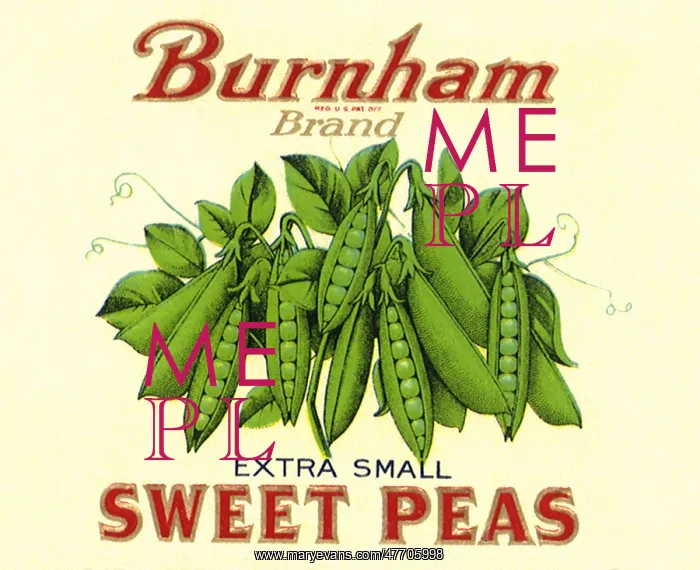  : Sweet Peas