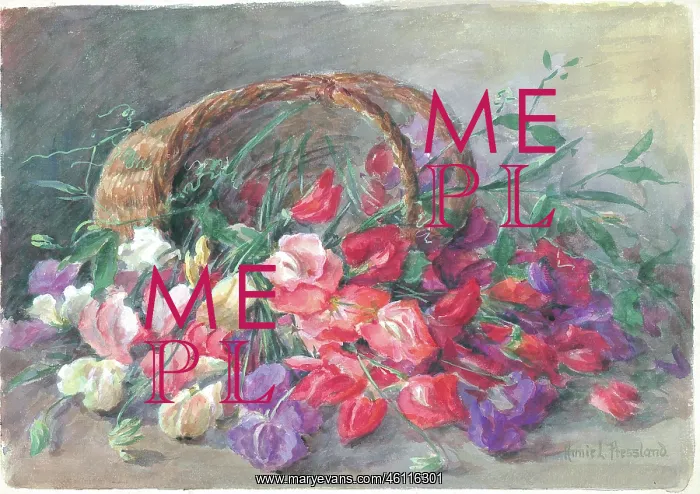 : Sweet peas'. Flowers : Sweet peas'. Flowers