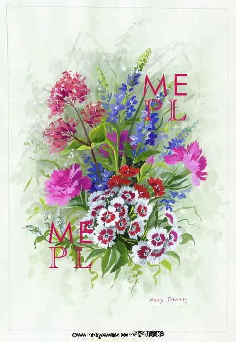  : Sweet William, Pinks, Red Valerian, Veronica