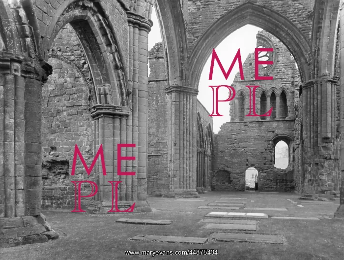 : SWEETHEART ABBEY : SWEETHEART ABBEY