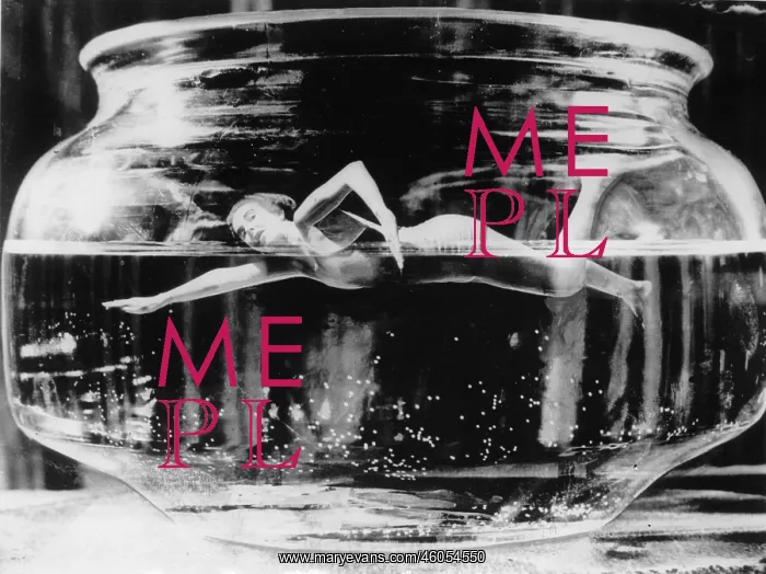 : Swimmer in goldfish bowl : Swimmer in goldfish bowl