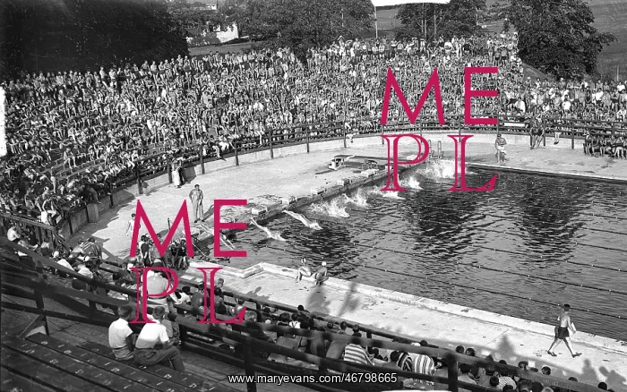 : Swimming competition in Vienna's Stadionbad : Swimming competition in Vienna's Stadionbad