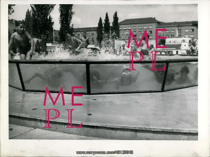 : Swimming - Diving : Swimming - Diving