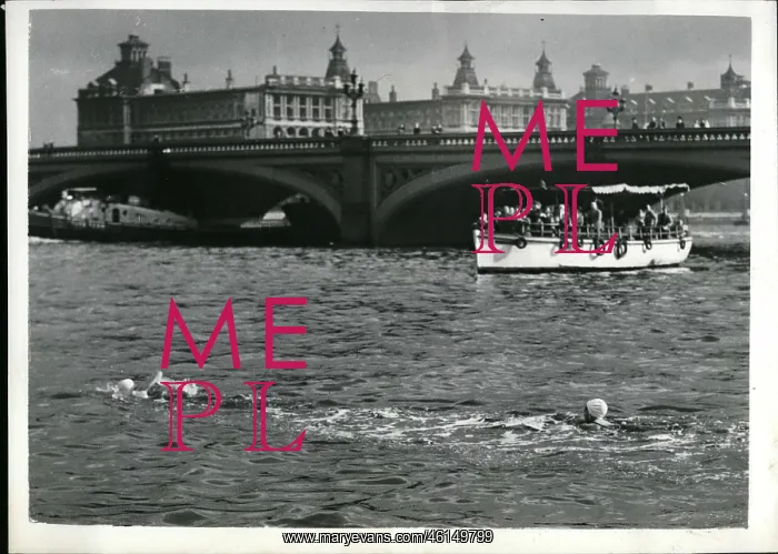 : Swimming - Diving : Swimming - Diving