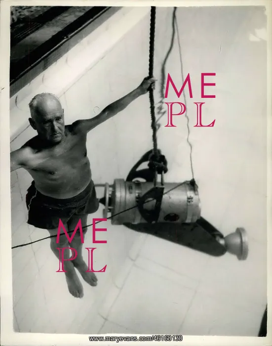 : Swimming - Diving : Swimming - Diving