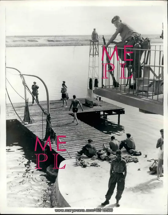 : Swimming - Diving : Swimming - Diving