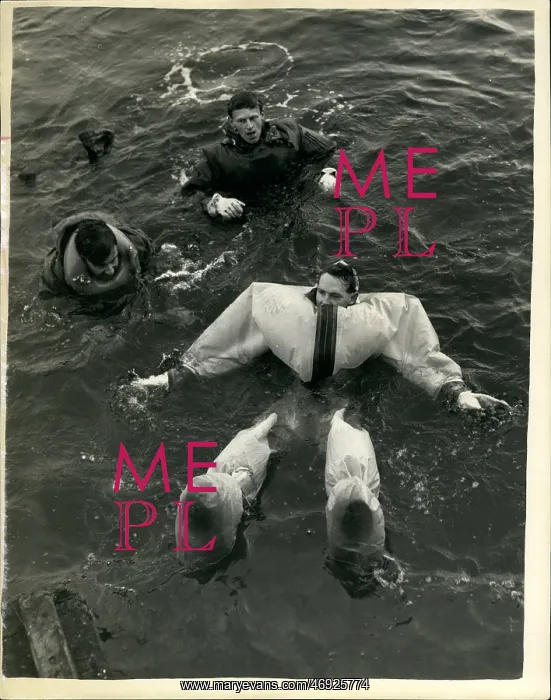 : Swimming - Diving : Swimming - Diving