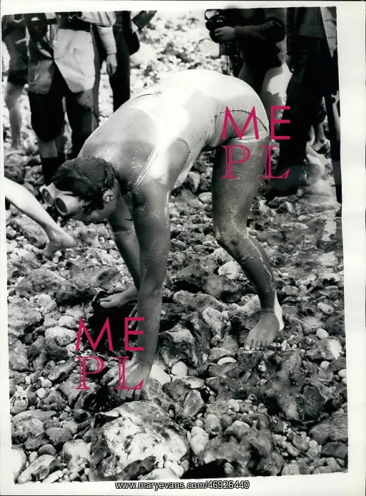 : Swimming - Diving : Swimming - Diving