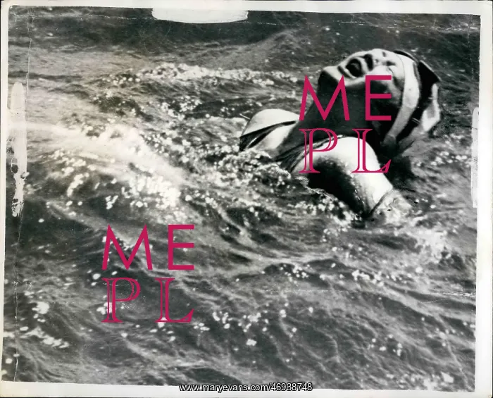 : Swimming - Diving : Swimming - Diving