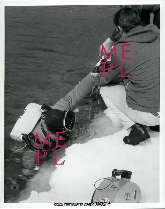 : Swimming - Diving : Swimming - Diving