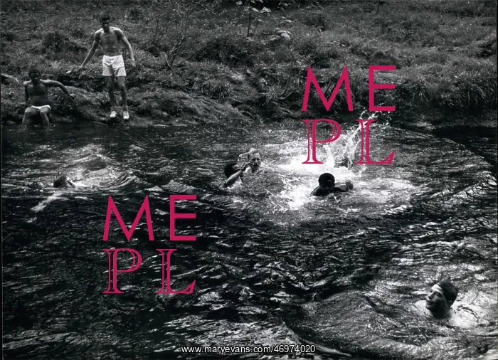 : Swimming - Diving : Swimming - Diving
