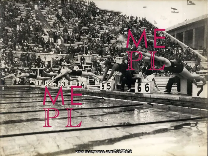 : Swimming - Diving : Swimming - Diving