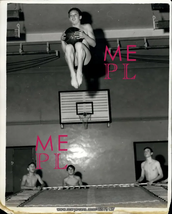 : Swimming - Diving : Swimming - Diving