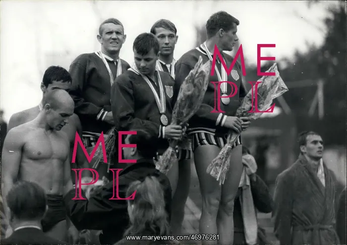 : Swimming - Diving : Swimming - Diving