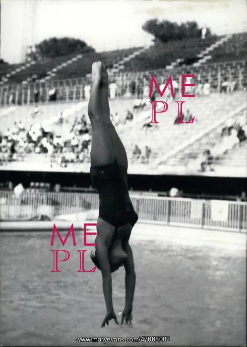 : Swimming - Diving : Swimming - Diving