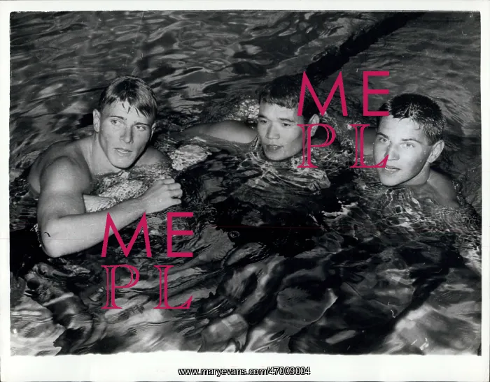 : Swimming - Diving : Swimming - Diving