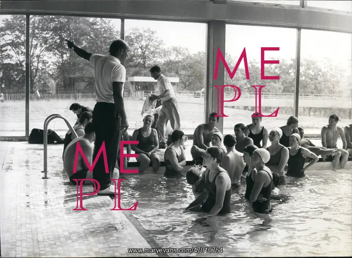 : Swimming - Diving : Swimming - Diving