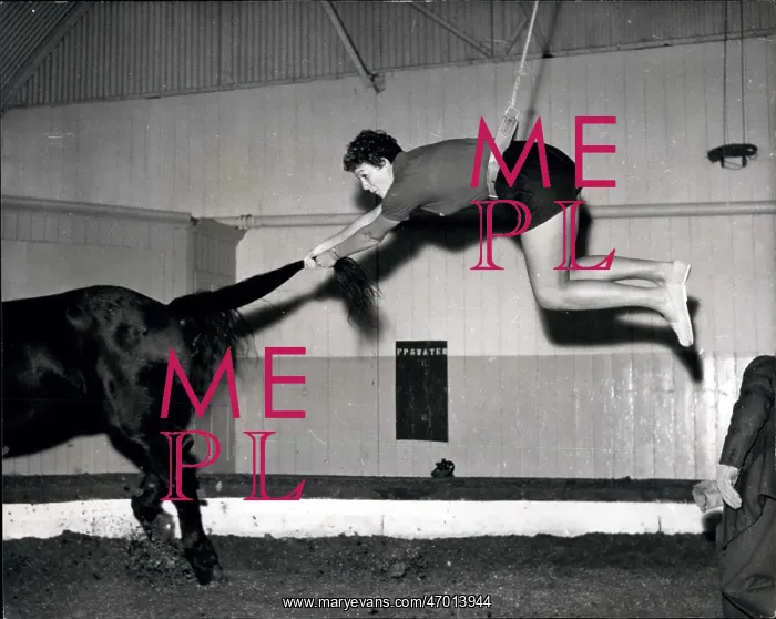 : Swimming - Diving : Swimming - Diving