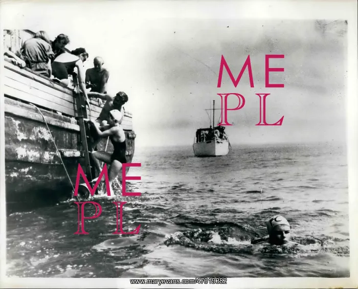 : Swimming - Diving : Swimming - Diving