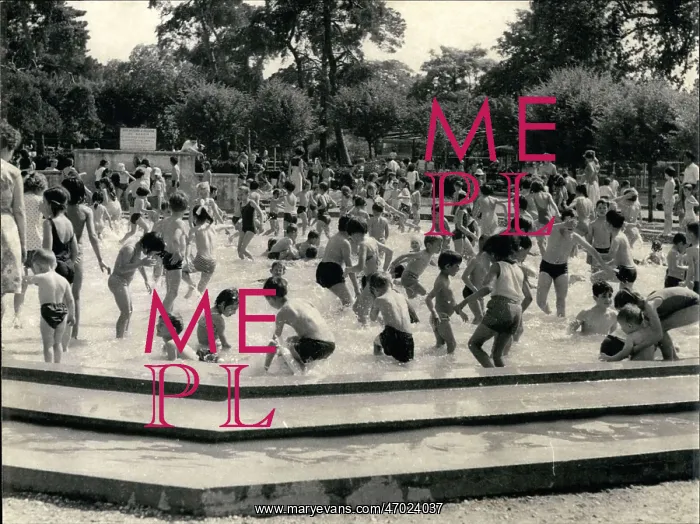 : Swimming - Diving : Swimming - Diving