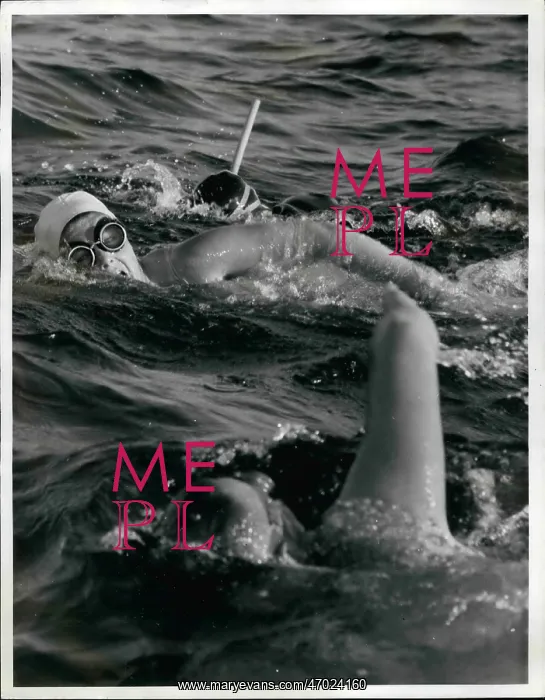 : Swimming - Diving : Swimming - Diving