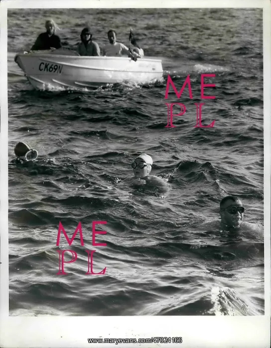 : Swimming - Diving : Swimming - Diving